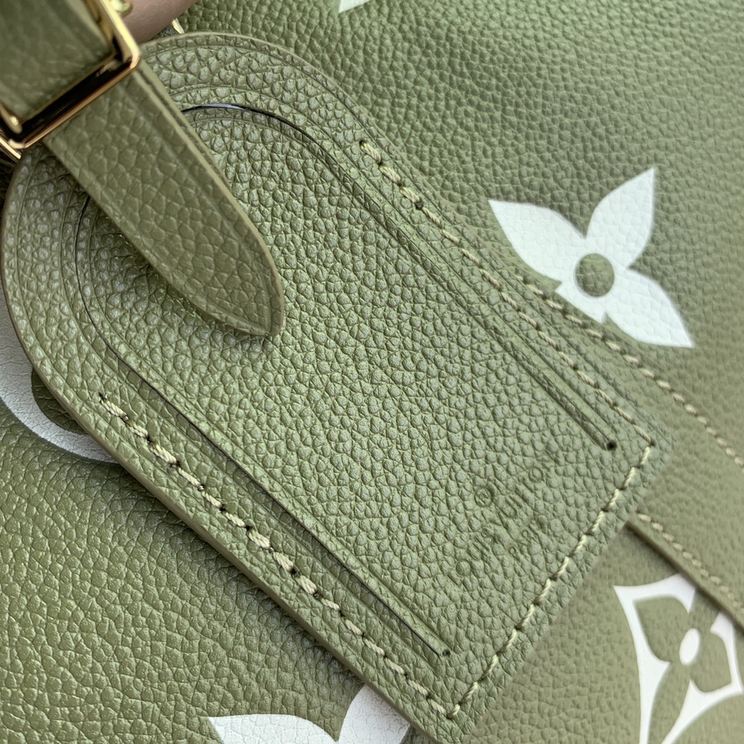 LV Travel Bags